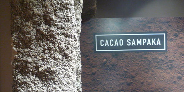 Cacao Sampaka