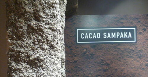 Cacao Sampaka